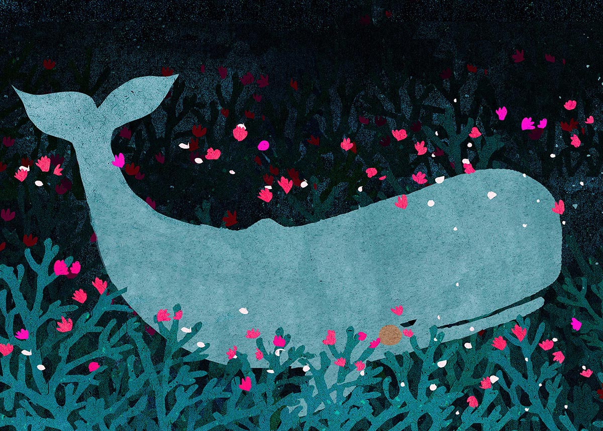 night Whale (3).jpg