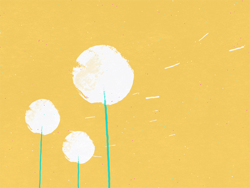 Collection gif ILLUSTRATION  animation  dots Cat texture noise buildin (5).gif