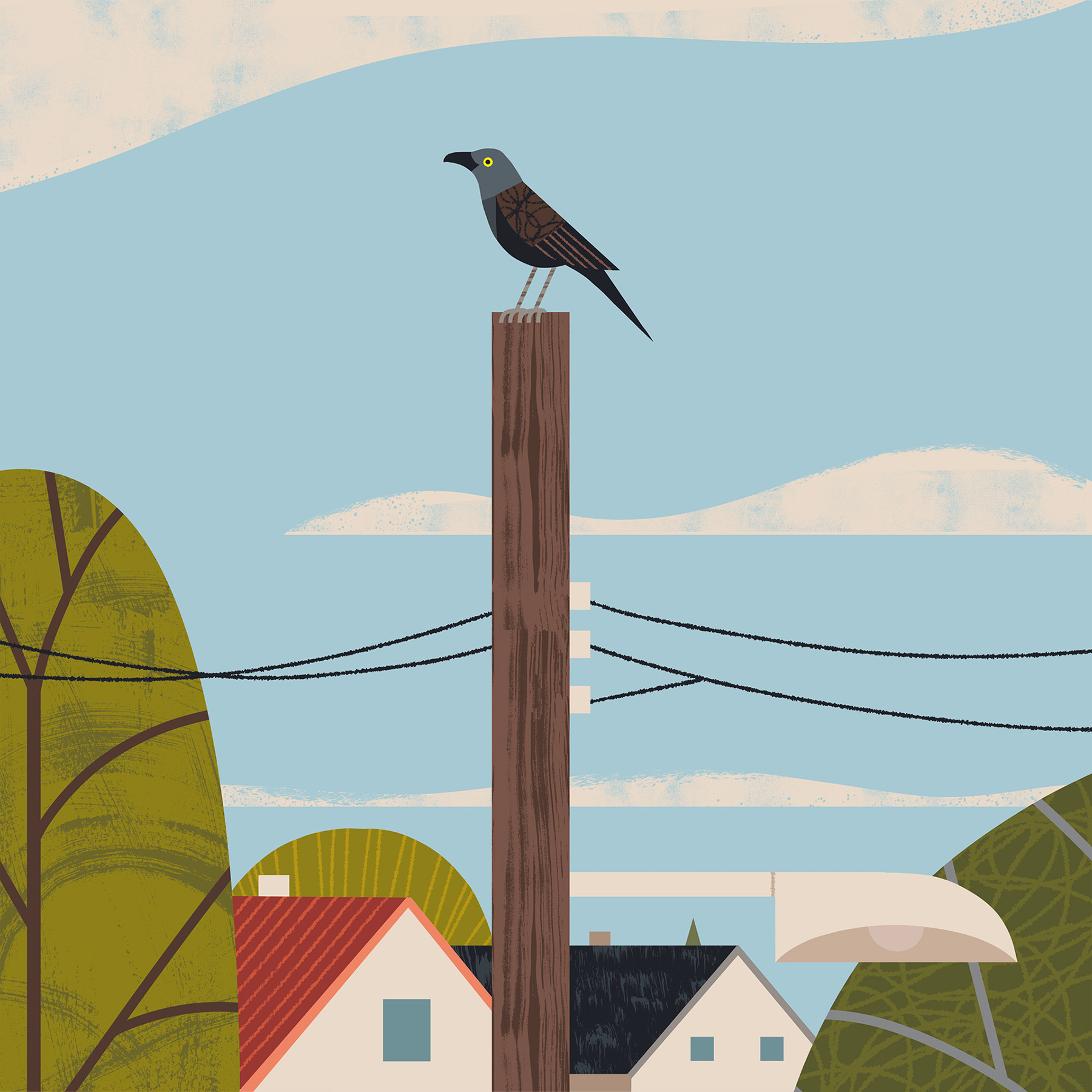 Image may contain sky, bird and outdoor.jpg