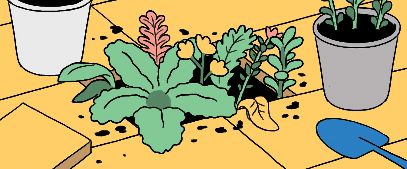 editorial editorialillustration Monocle magazine monoclemagazine shopp (3).jpg