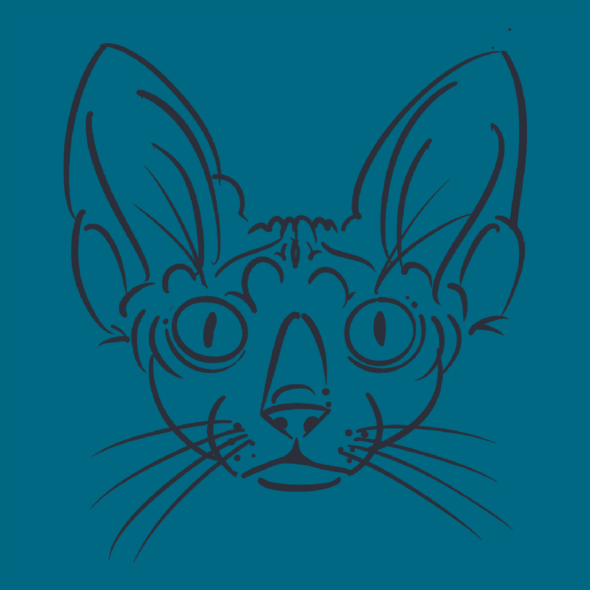 SKETCHY PETS on Behance (3).jpg