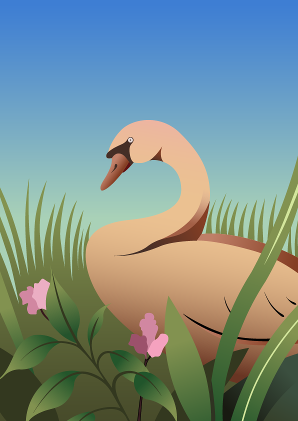 cheetah clean frog ILLUSTRATION  Illustrator Nature swan vector (2).png