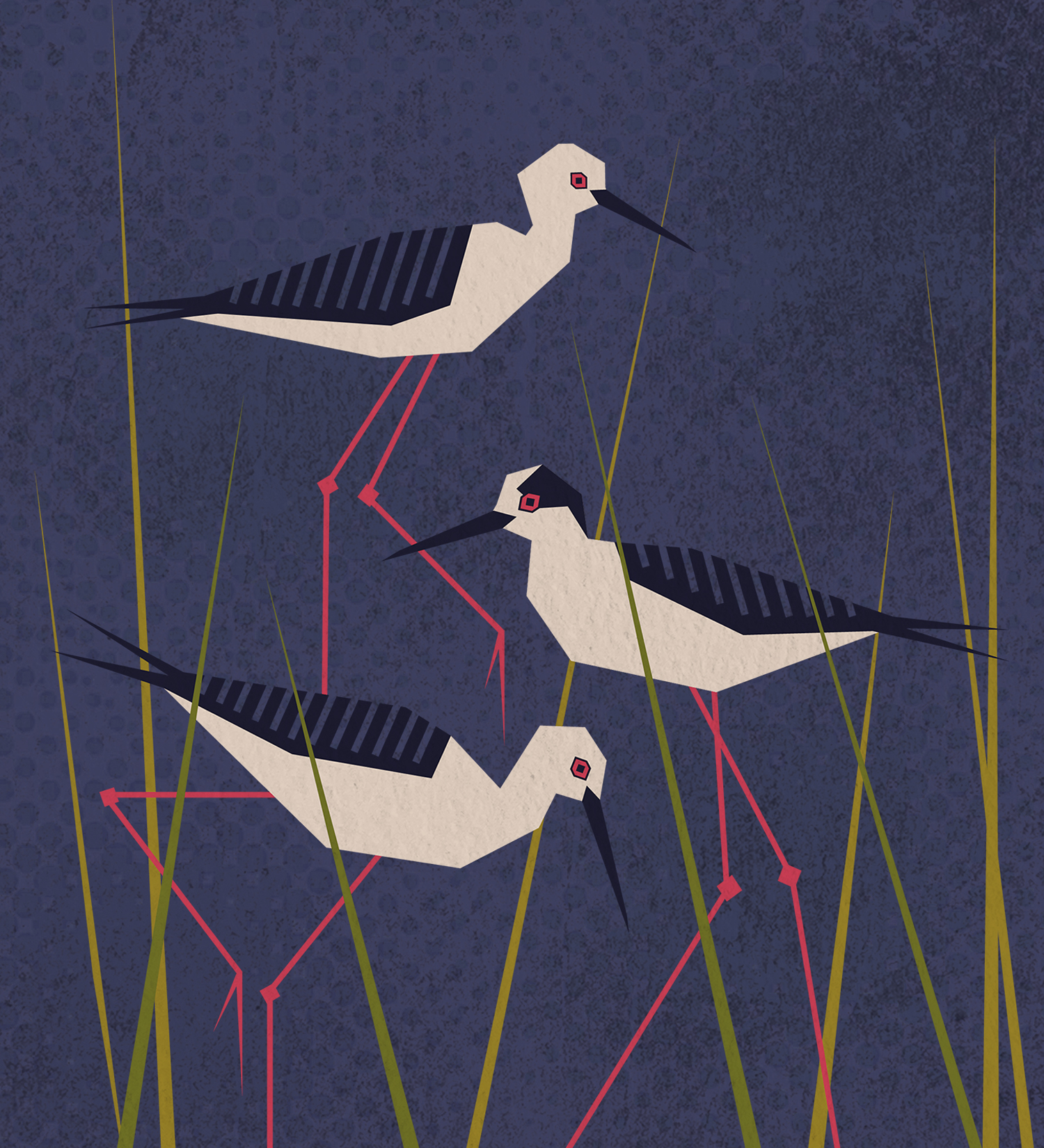 MIGRATORY BIRDS on Behance (2).jpg