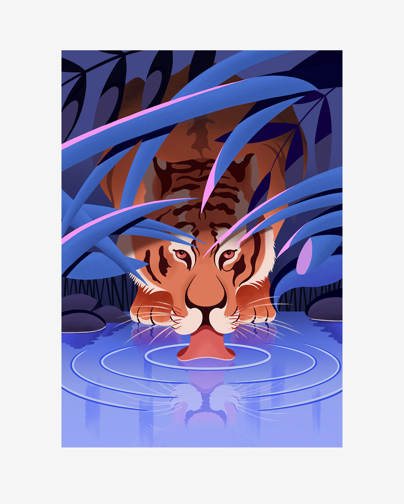 Editorial Illustration ILLUSTRATION  Nature tiger (2).jpg