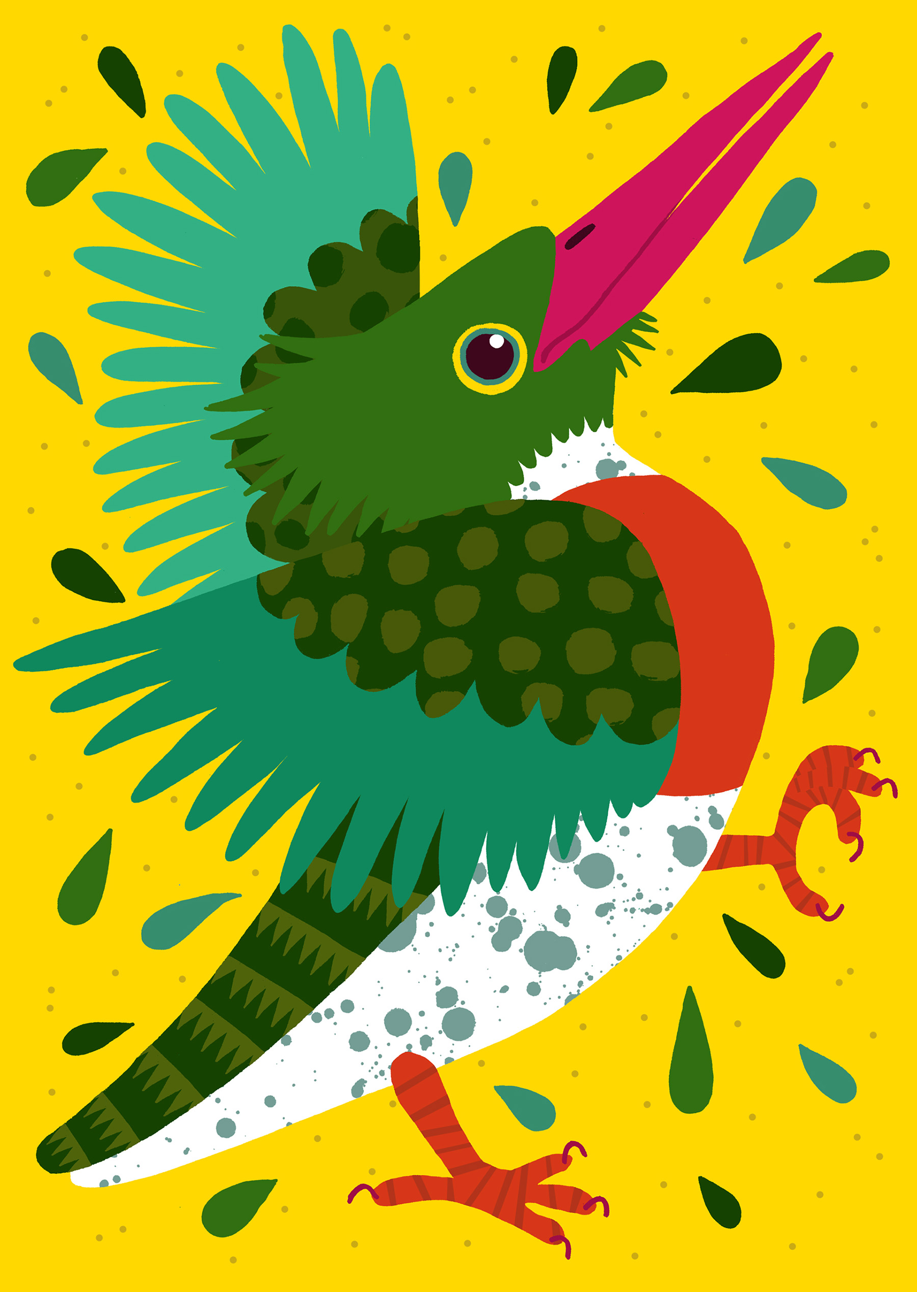 bird birds animals duck mallard hornbill cockatiel Rooster pigeon dove (11).jpg