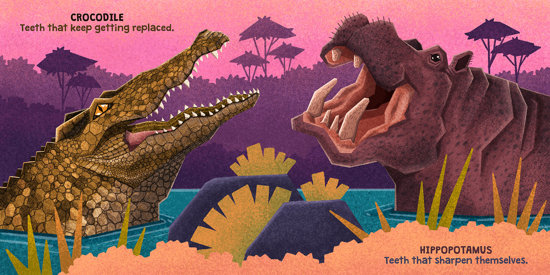 animal illustration childrens book digital illustration Picture book t.jpg