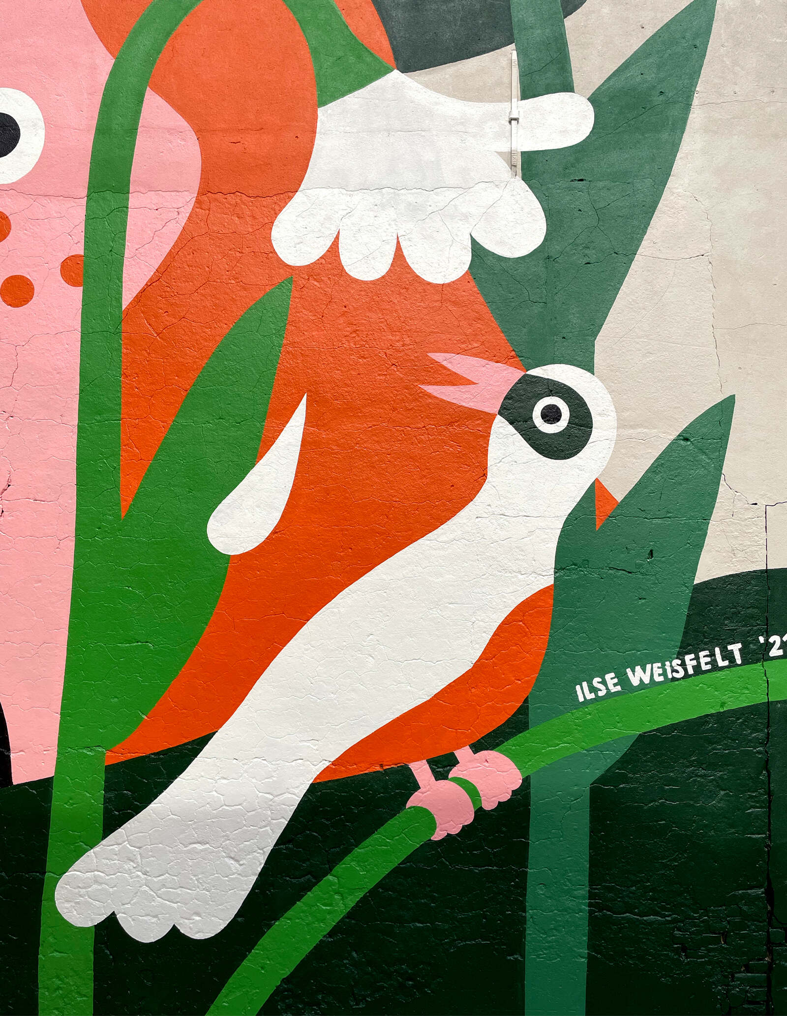 NET ALS IN DE FILM - Ilse Weisfelt illustration-3.jpg