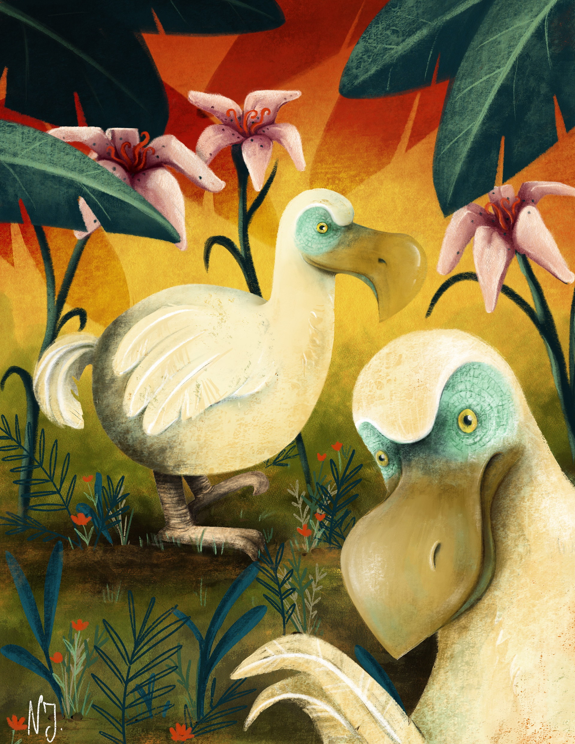 amphibians birds black animal book Insects mammals rare species red an.jpg