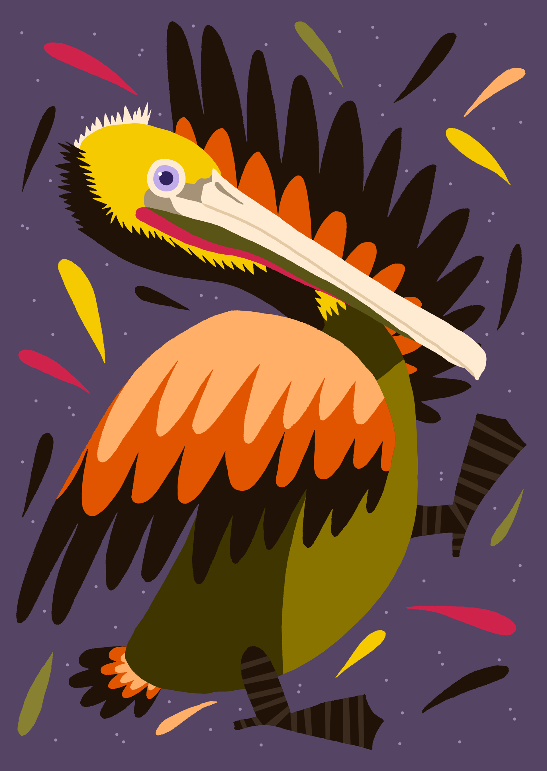bird birds animals duck mallard hornbill cockatiel Rooster pigeon dove (9).jpg
