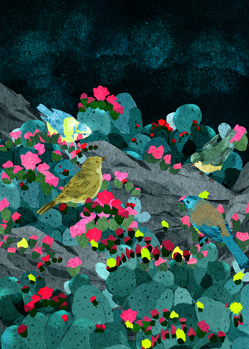 Image may contain grass and flower.jpg