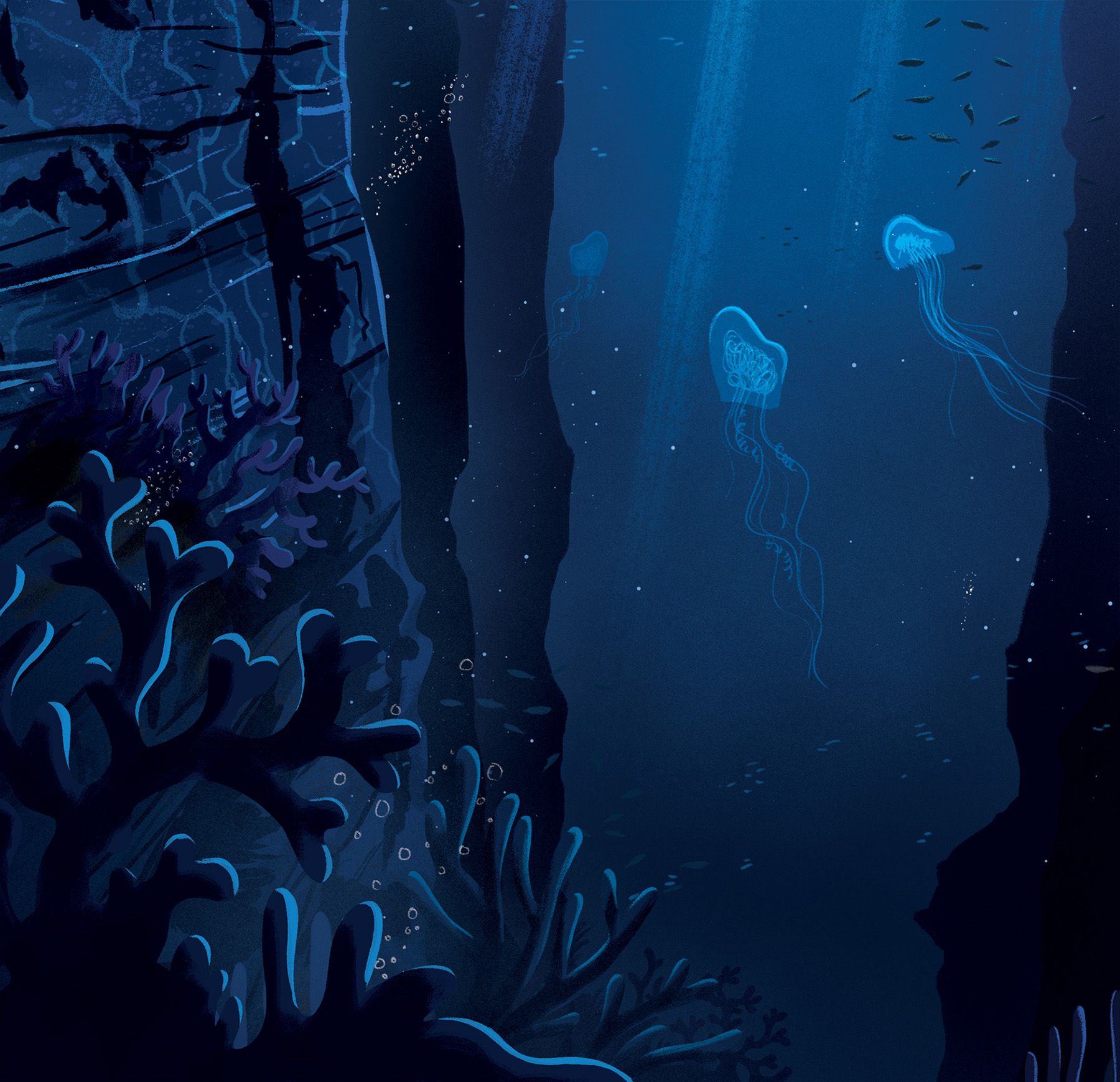 Ocean print artwork prints Turtle Whale jellyfish sunfish sea earth (3).jpg