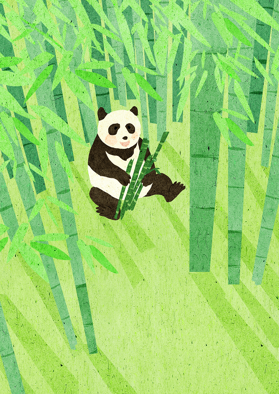 Panda (6).jpg