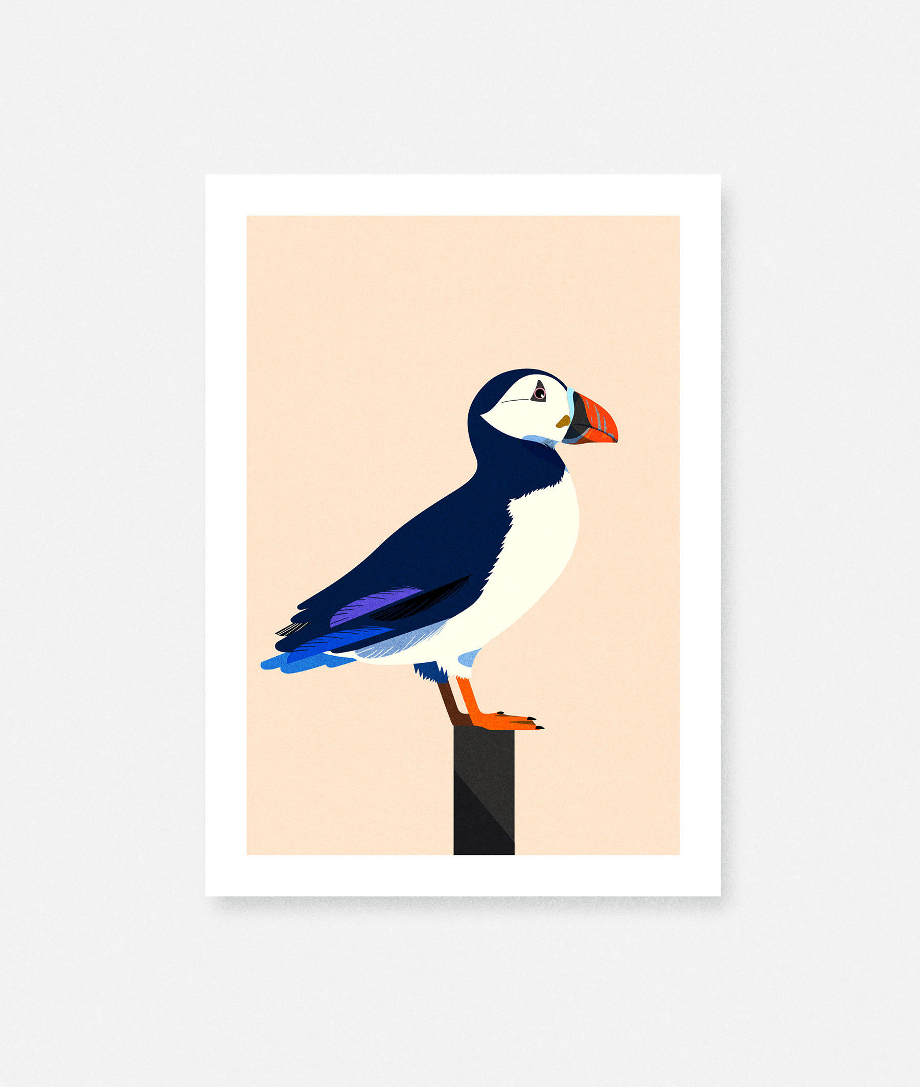 Escale on Behance (4).jpg