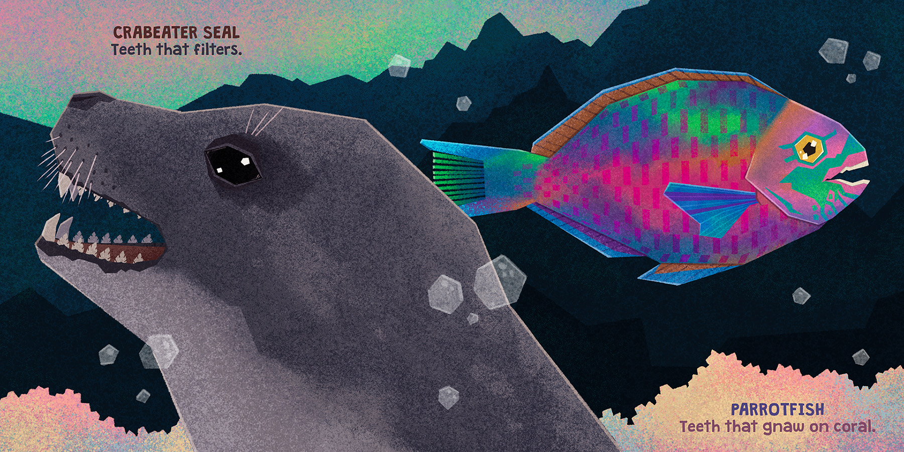 animal illustration childrens book digital illustration Picture book t (3).jpg