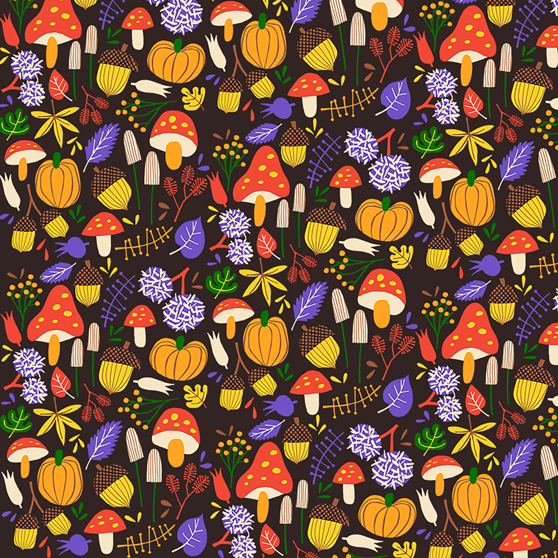 autumn Fall leaf leaves Mushrooms nuts chestnuts pumpkin season Oneday (7).jpg