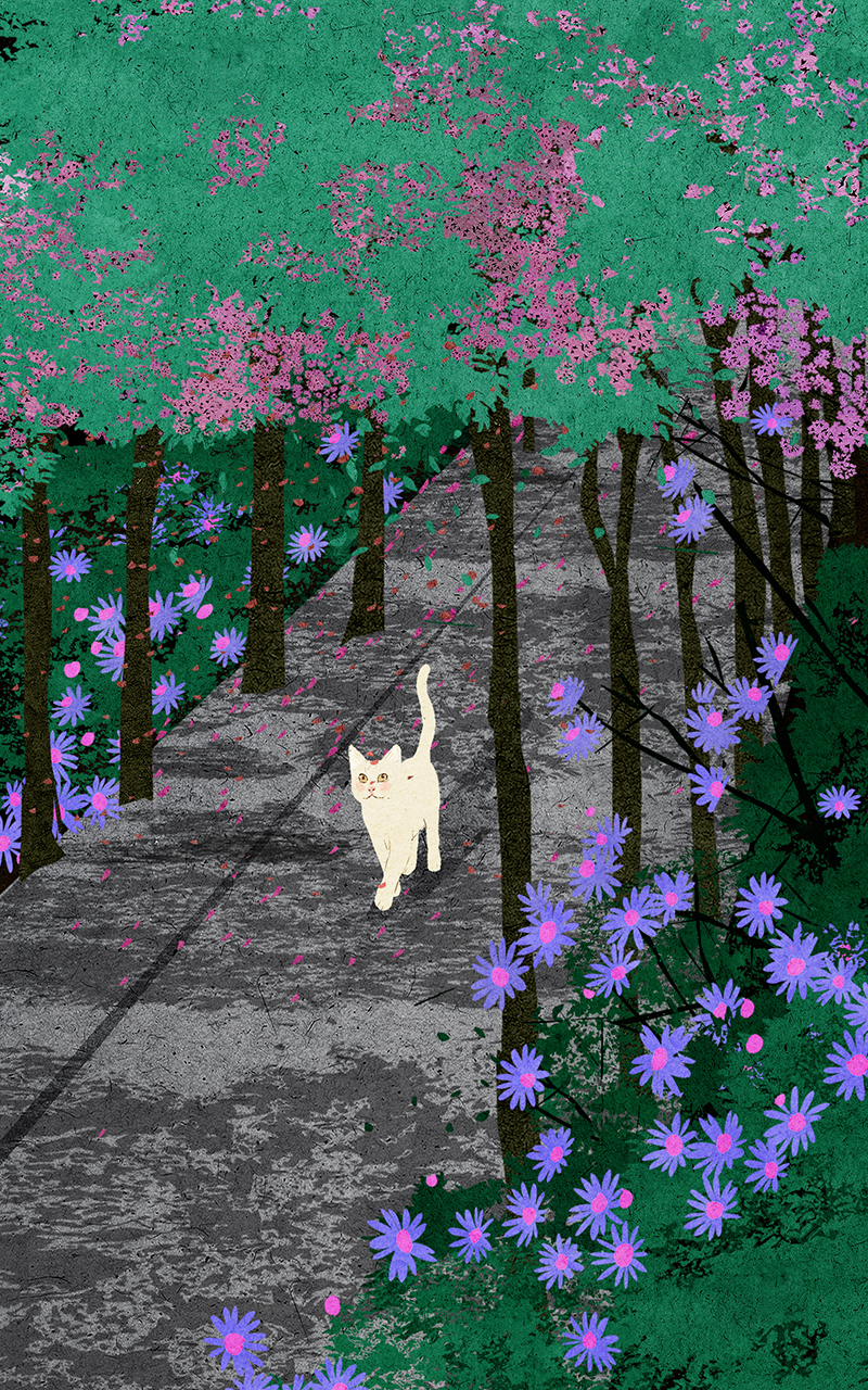 animal artwork cartoon Cat digital illustration Drawing  painting (8).jpg