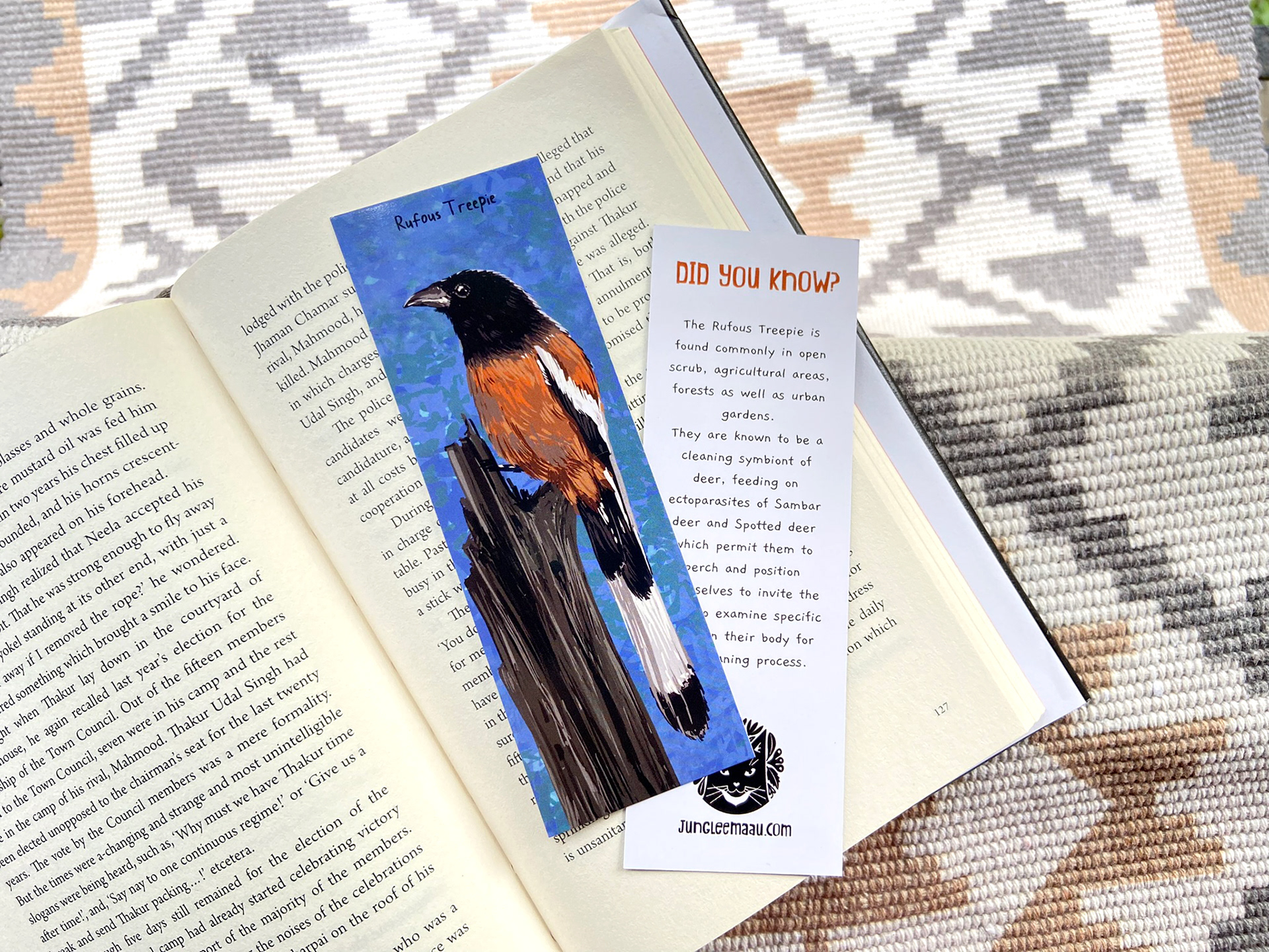 Bird Illustration birds digital illustration drawing challenge India i.jpg