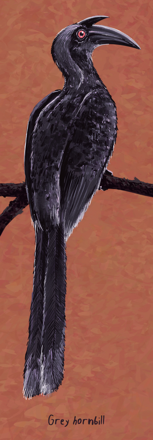 Image may contain black and bird.jpg