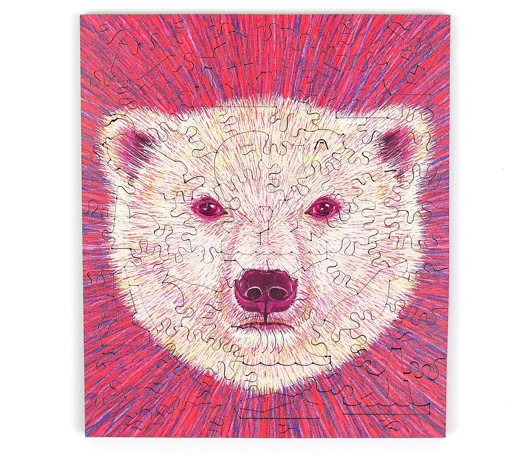 animal illustration animals climate change endangered environment puzz (5).jpg