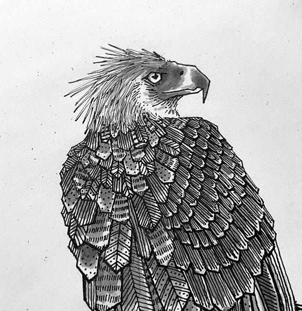 Image may contain sketch, drawing and animal.jpg