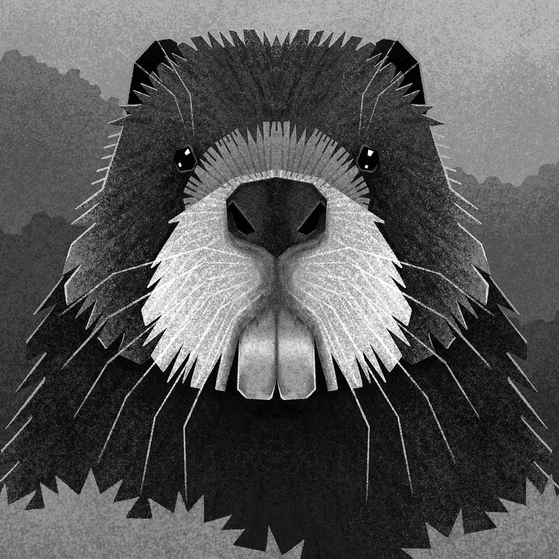 ALL ABOUT TEETH on Behance.jpg