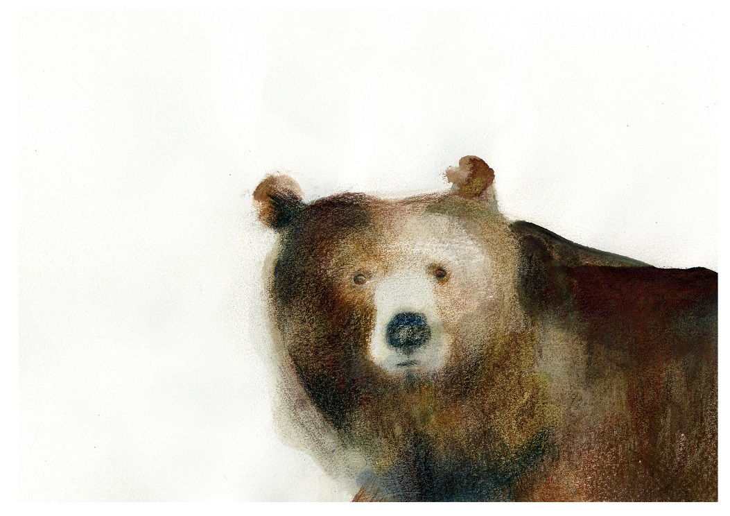 bear art graphic ILLUSTRATION  Character Bears around us (8).jpg