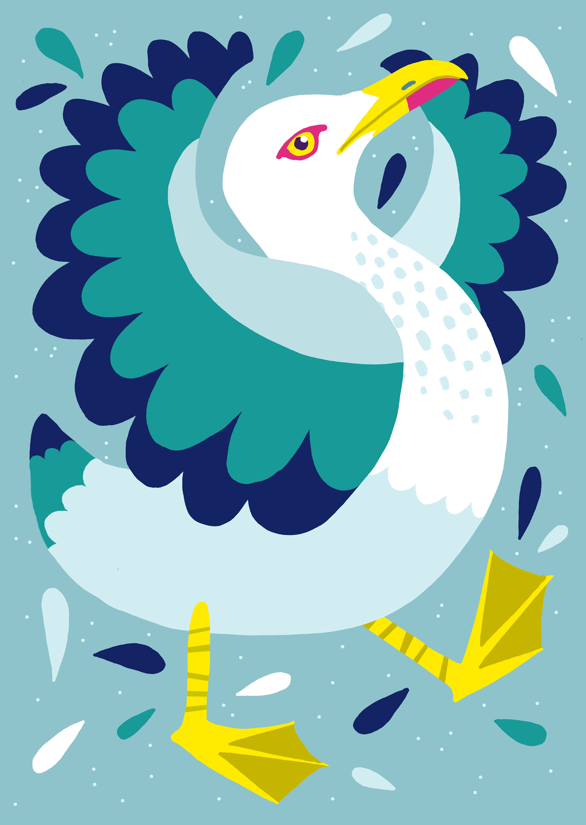 bird birds animals duck mallard hornbill cockatiel Rooster pigeon dove (12).jpg