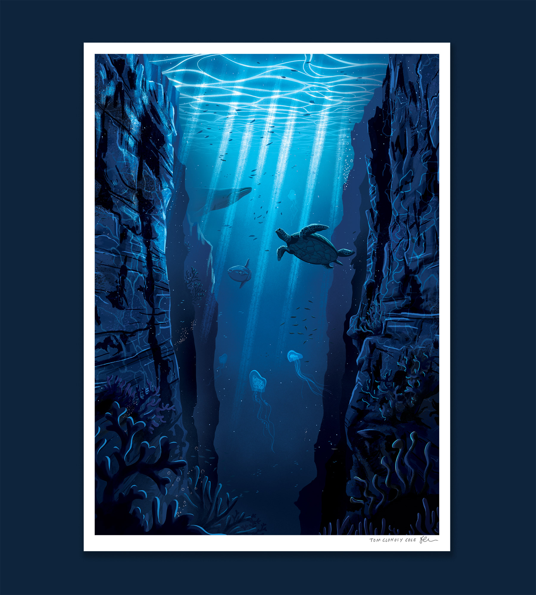 ILLUSTRATION  illustration prints prints screenprint giclee Indigo Art (2).jpg