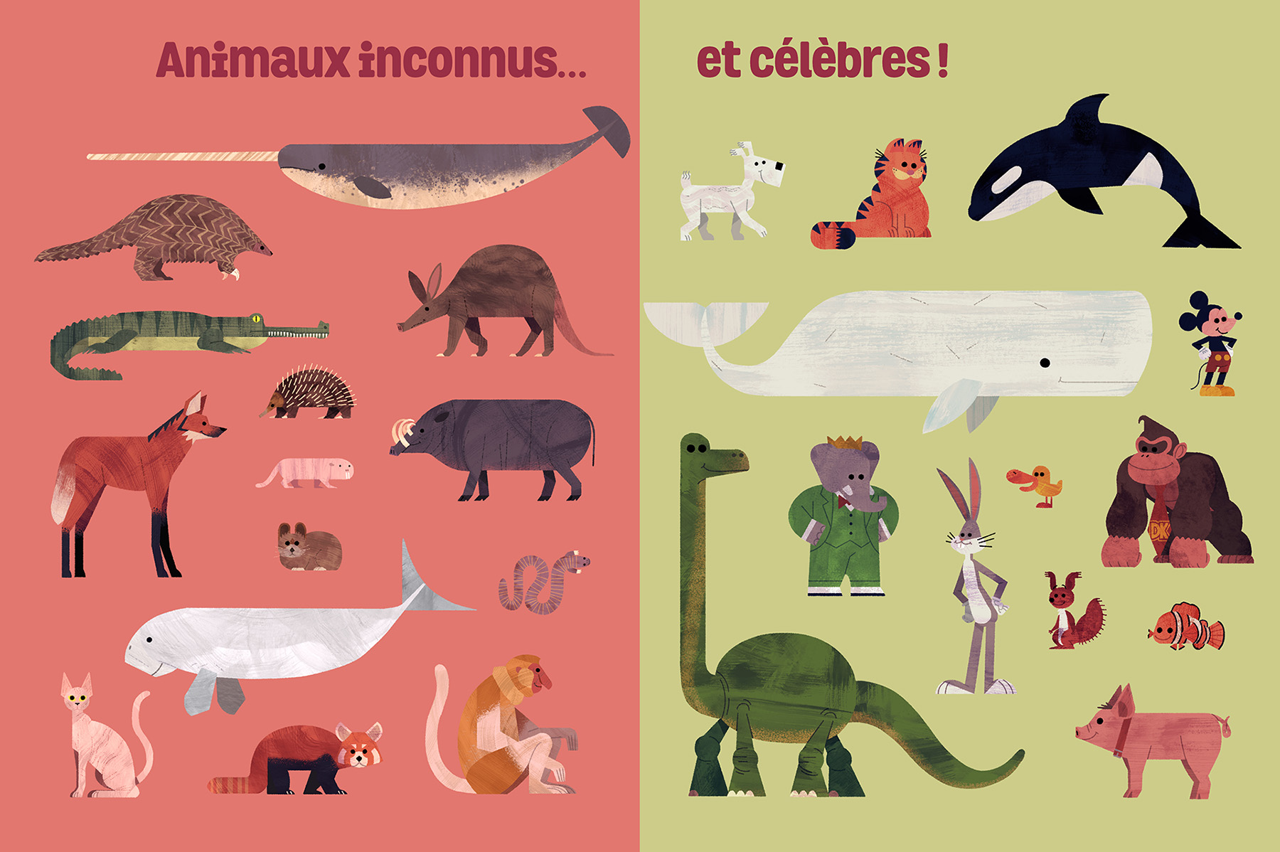 dog Cat Planets kid animals fish mammal (4).jpg