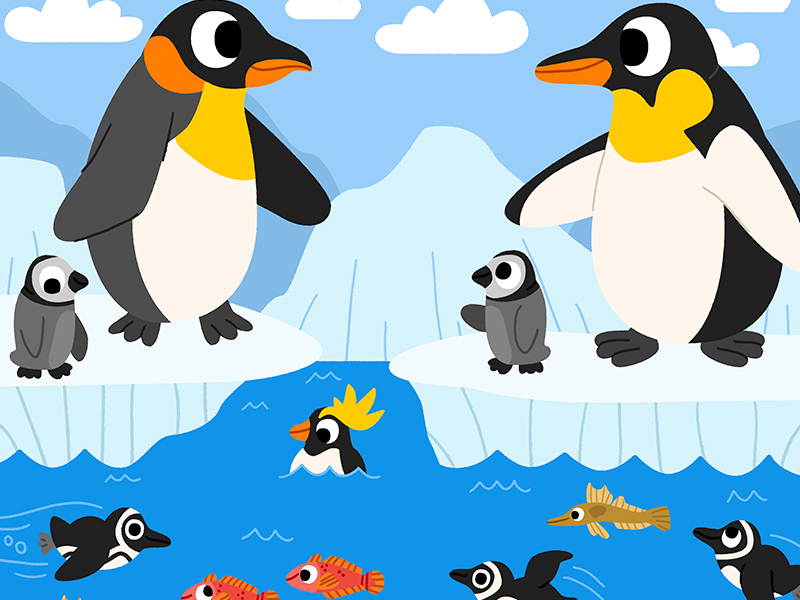 Flightless birds animals cute drawing fun illustration illustrator kid.jpg