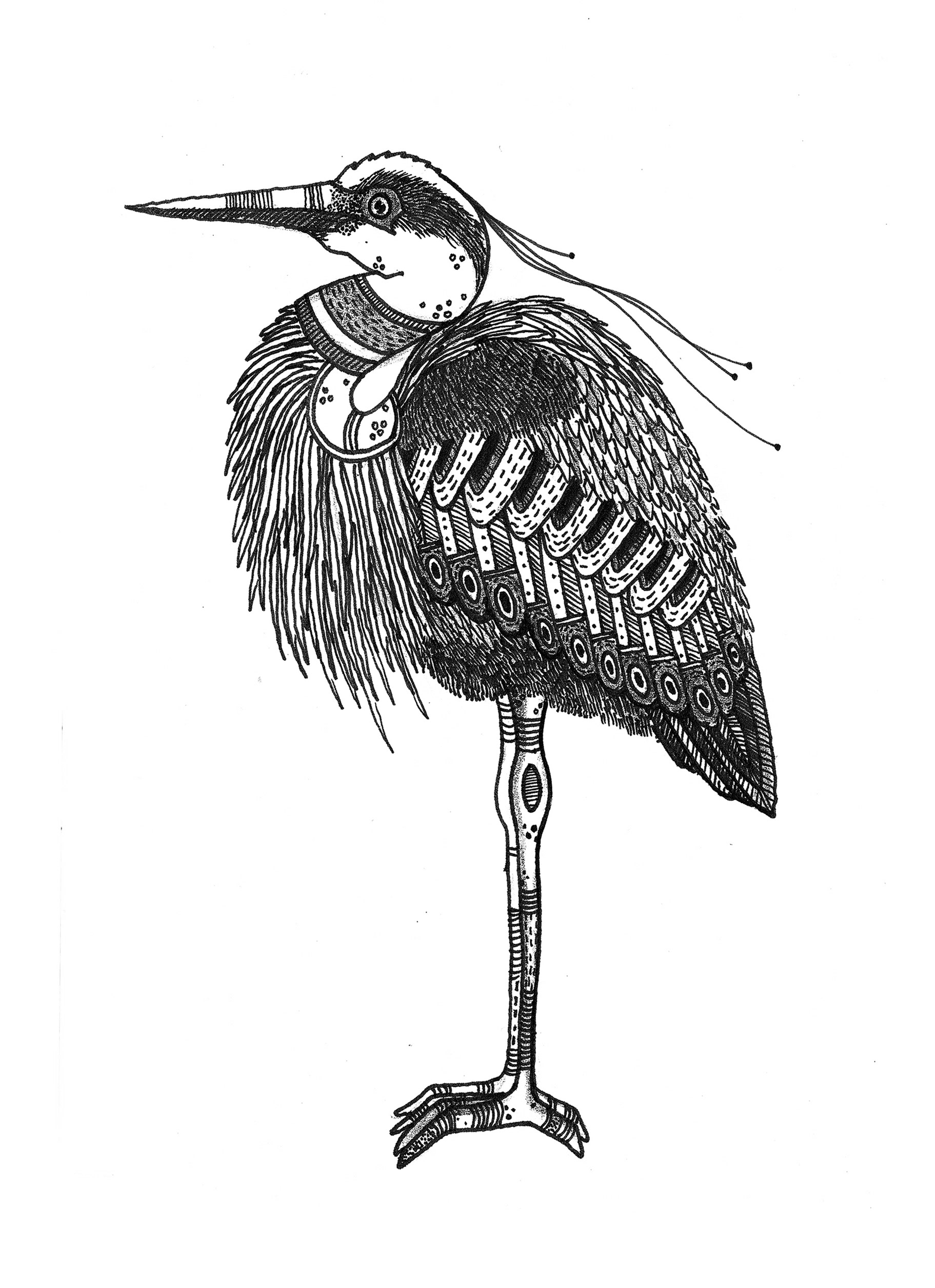 bird watching birds eagle hand drawn heron inking pattern pen and ink.jpg