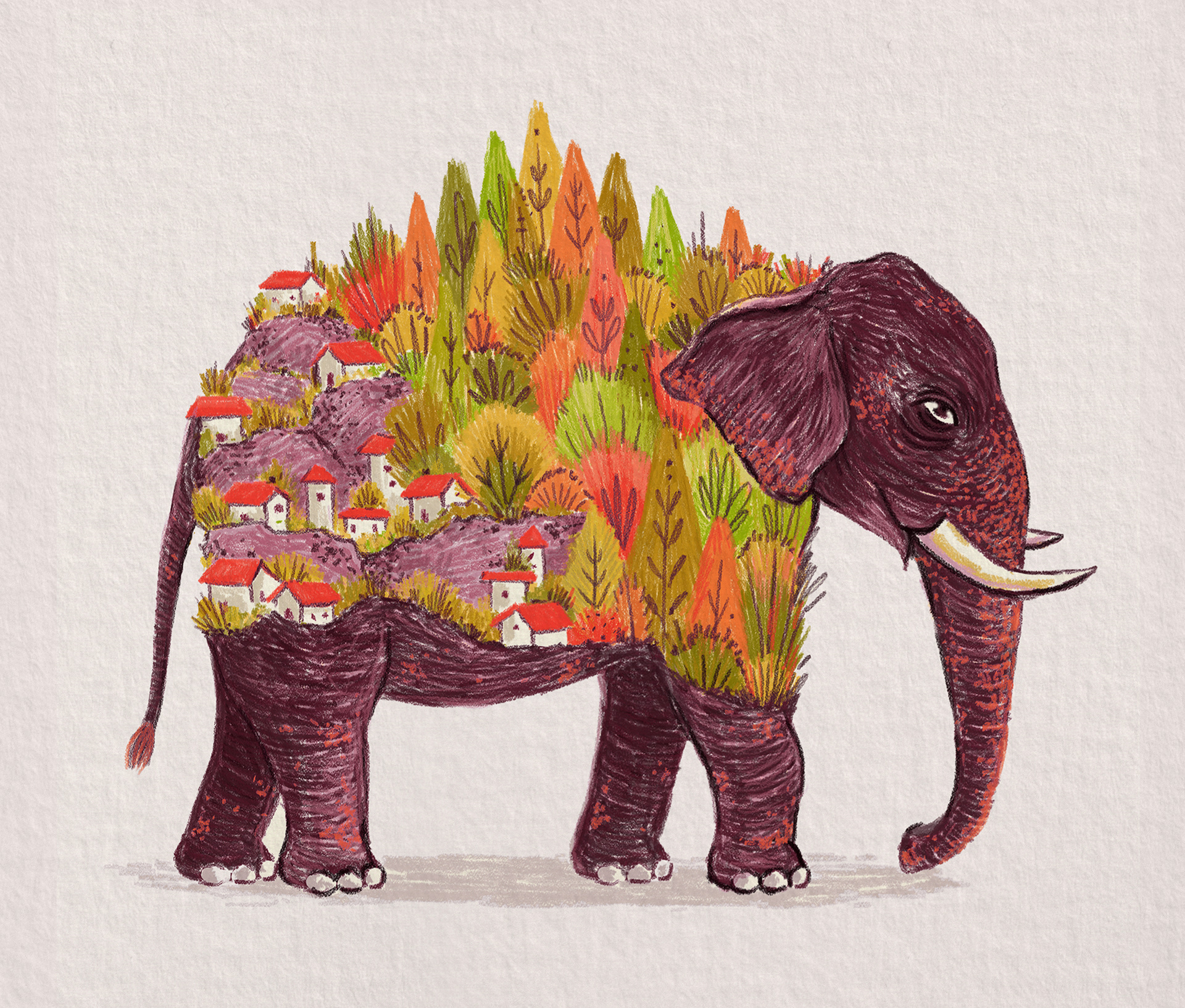 climate change endangered species forest Habitat Loss wildlife birds I (5).jpg