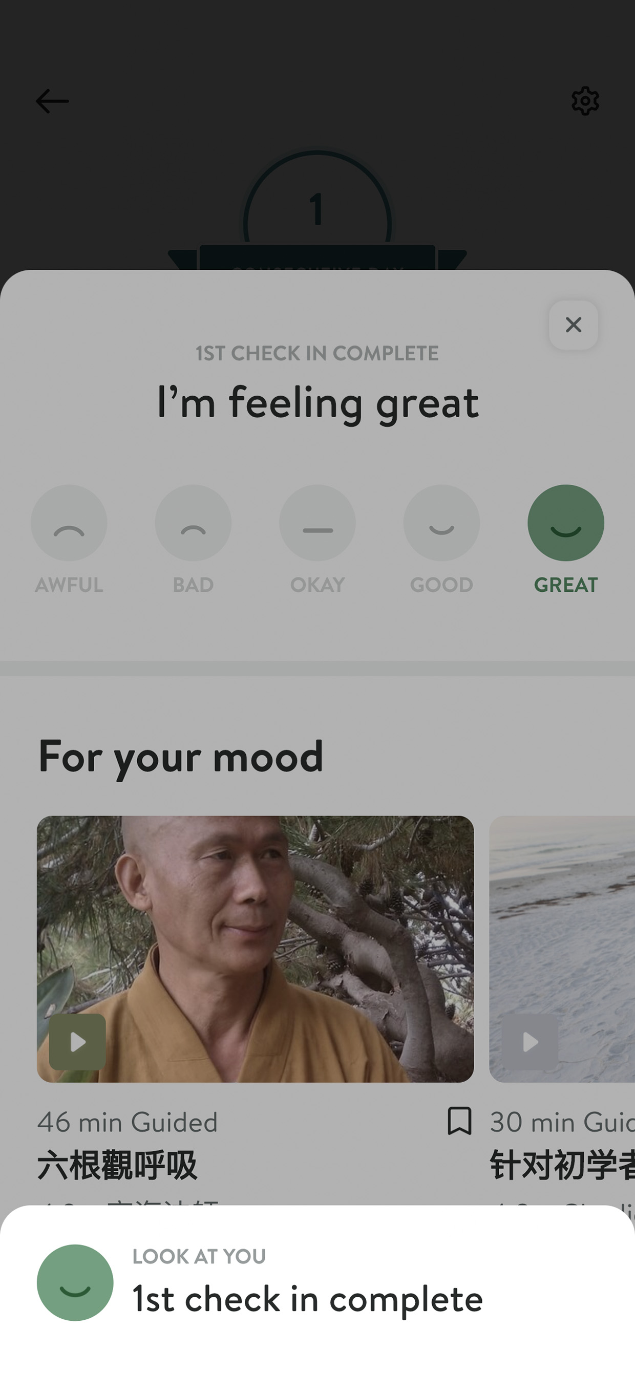 Insight Timer