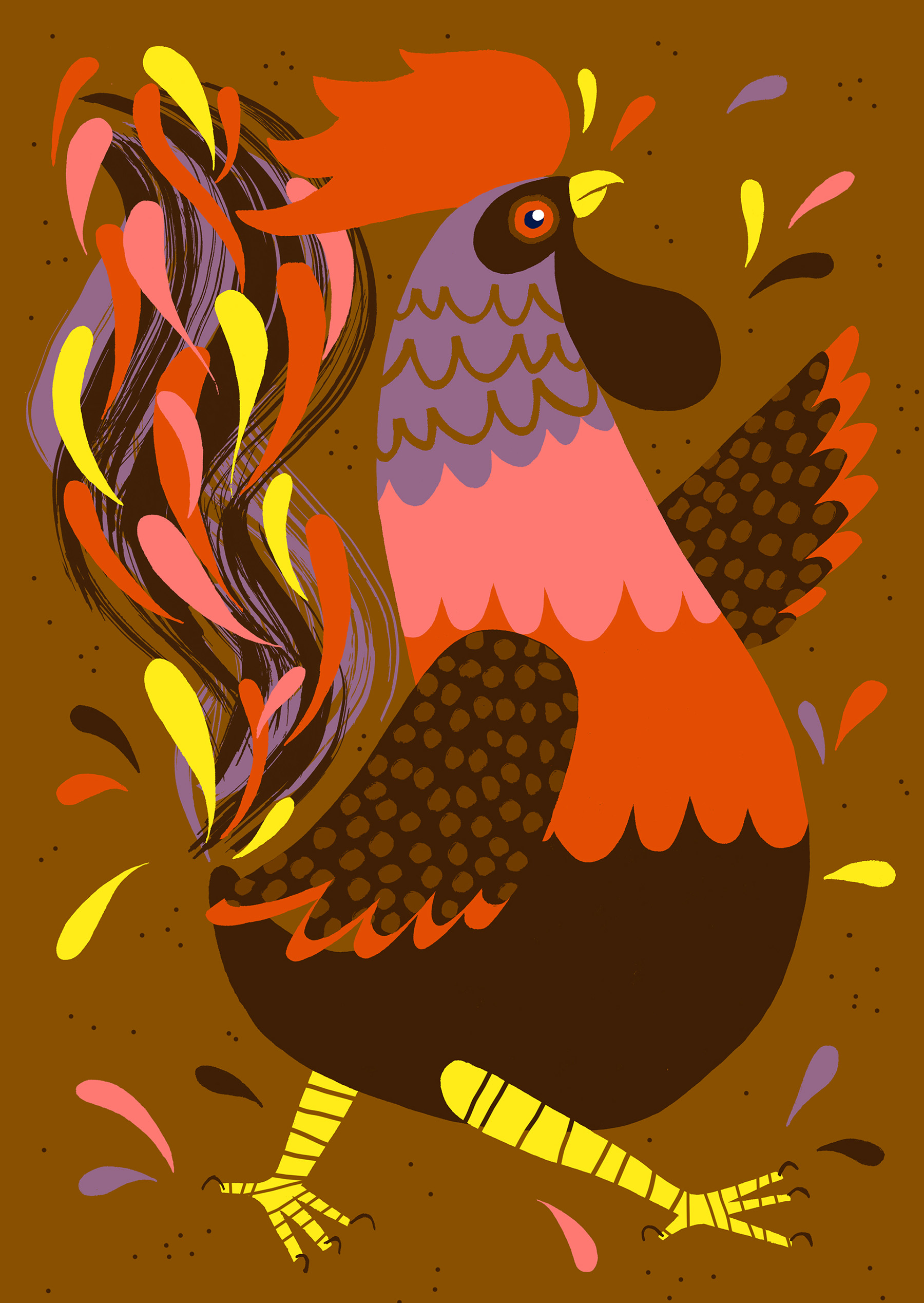 bird birds animals duck mallard hornbill cockatiel Rooster pigeon dove (2).jpg