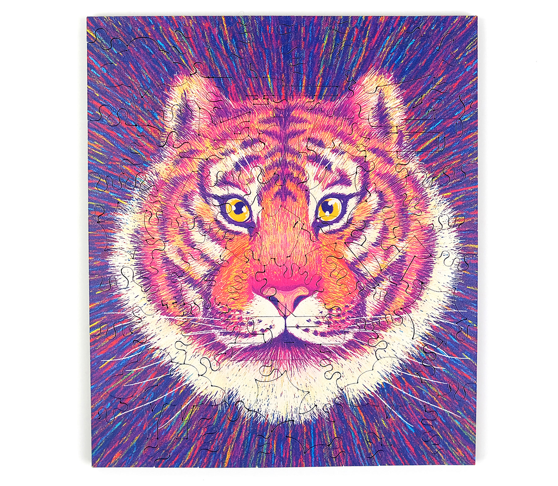animal illustration animals climate change endangered environment puzz (2).jpg