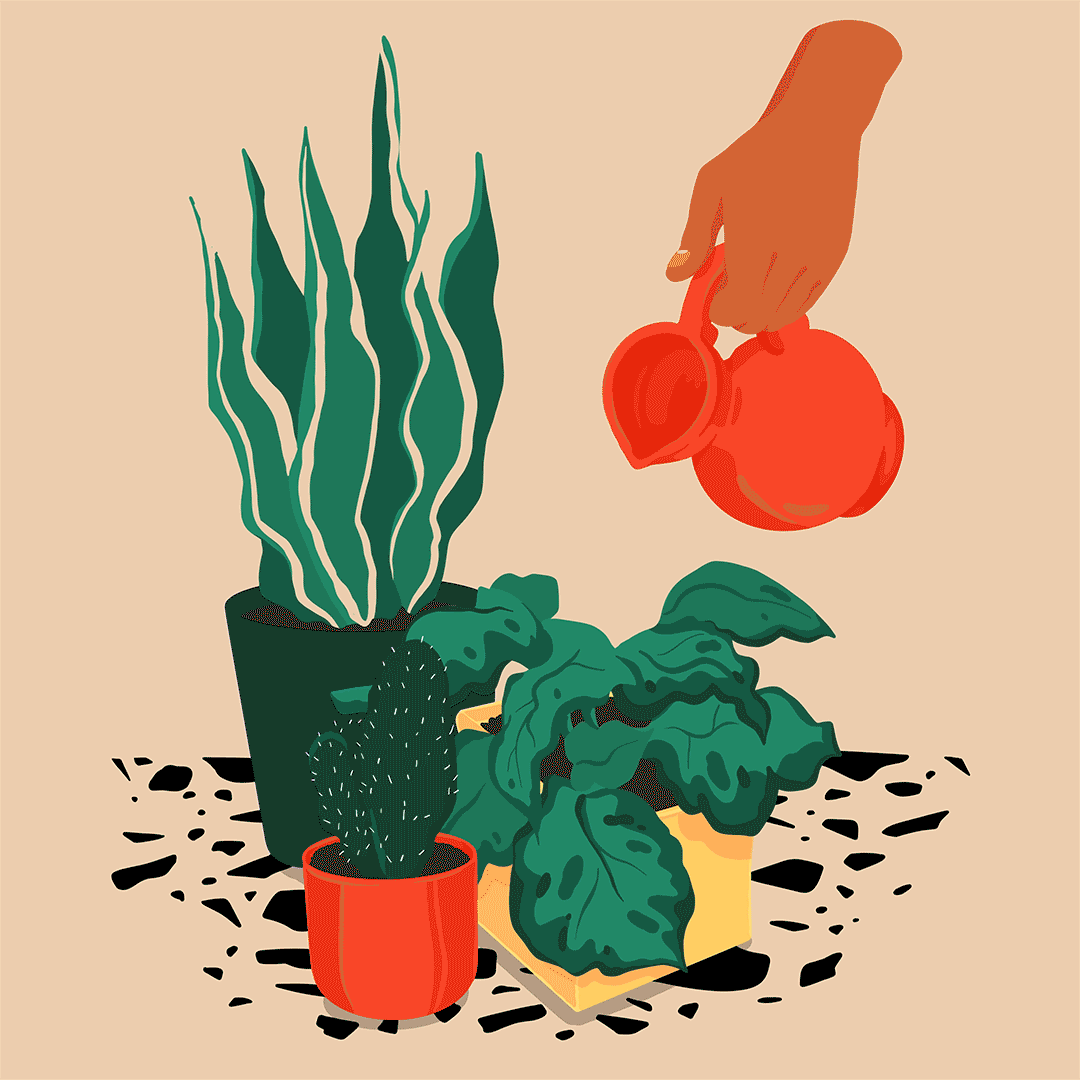 DESERVE DIGITAL FIRST CARD on Behance (16).gif