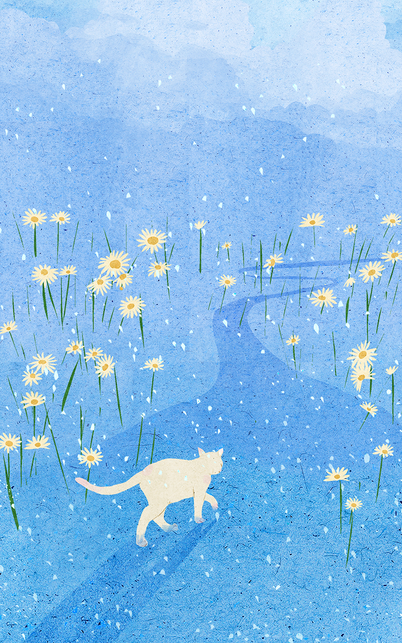 animal artwork cartoon Cat digital illustration Drawing  painting (6).jpg