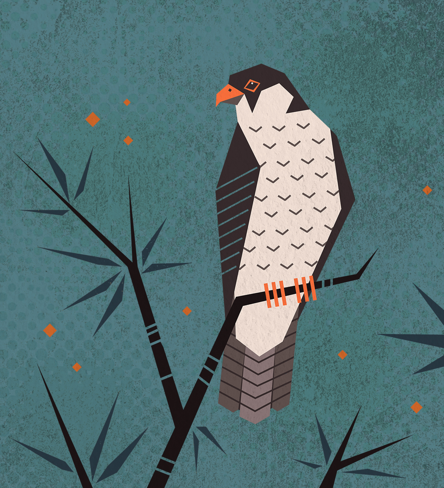MIGRATORY BIRDS on Behance.jpg
