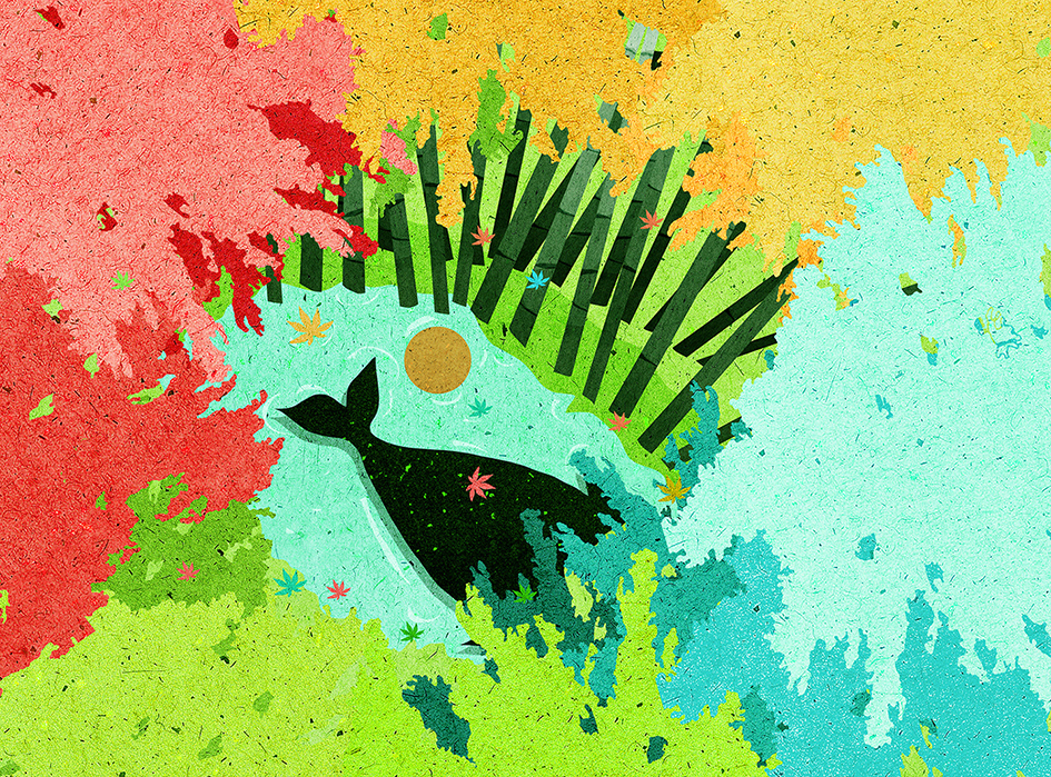 artwork Ocean sea Whale (2).jpg