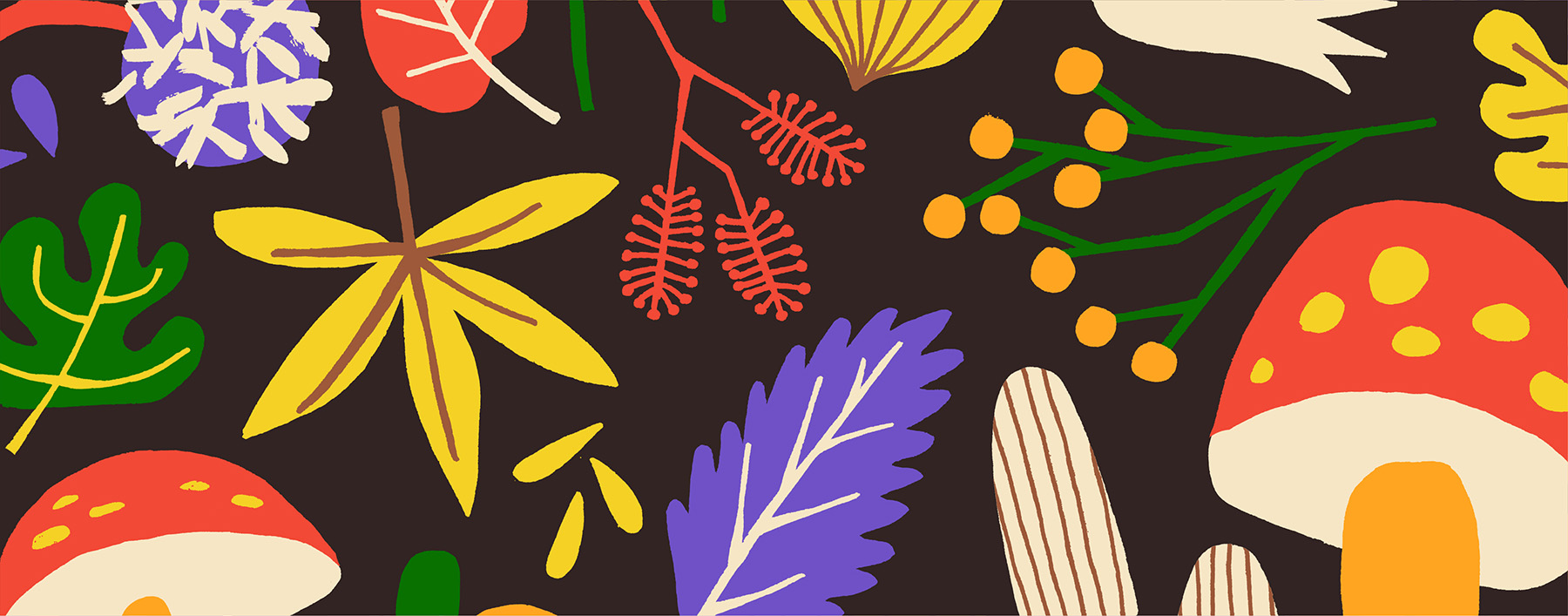 autumn Fall leaf leaves Mushrooms nuts chestnuts pumpkin season Oneday (4).jpg