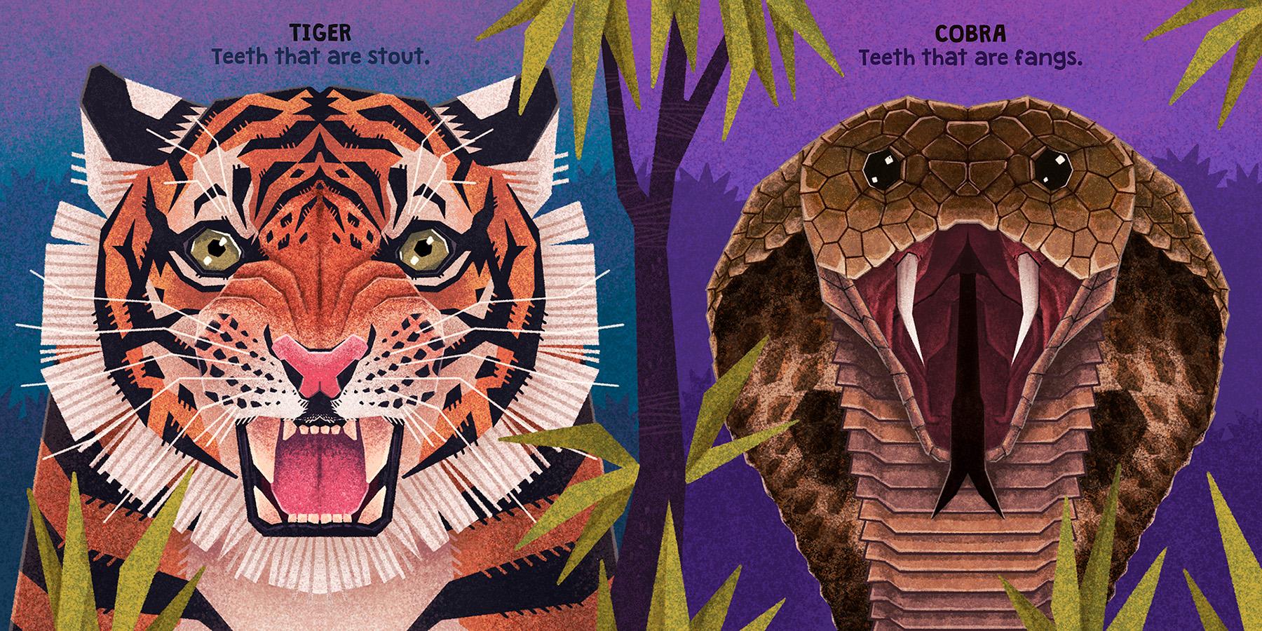 animal illustration childrens book digital illustration Picture book t (2).jpg