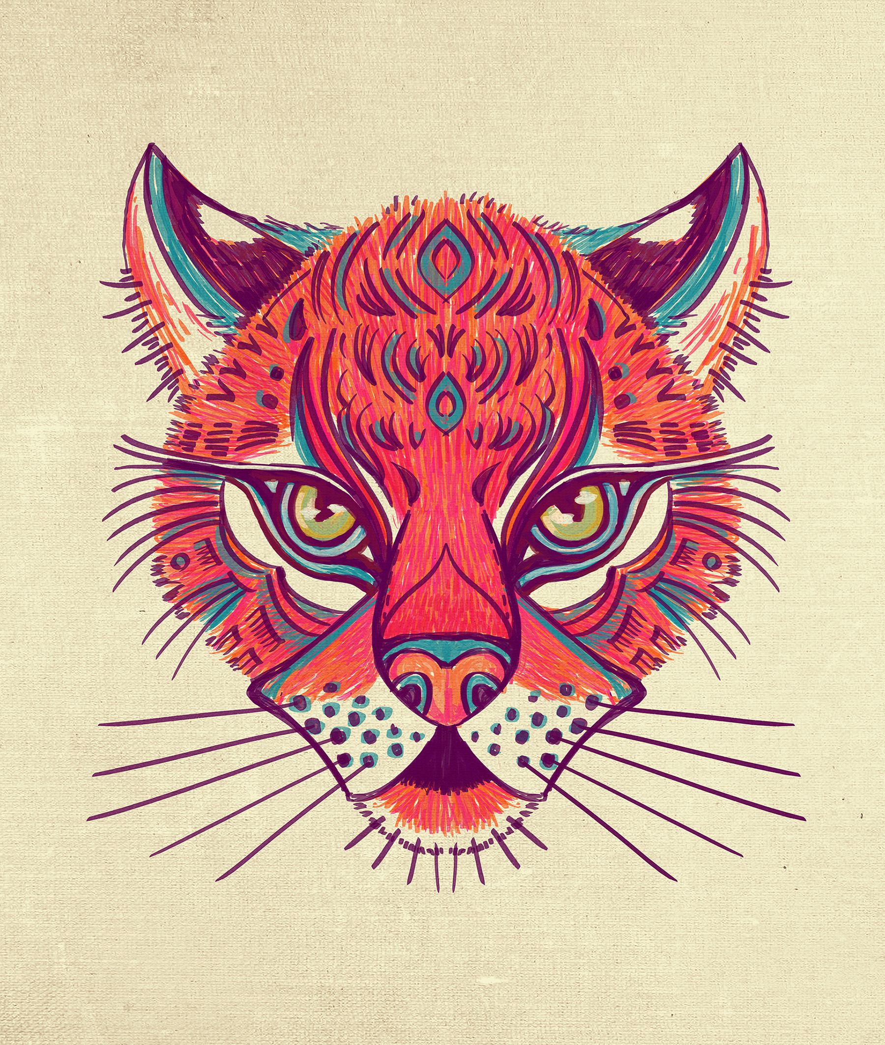 lynx tiger ocelot mandrill monkey Cat ILLUSTRATION  sketch animal sket (3).jpg