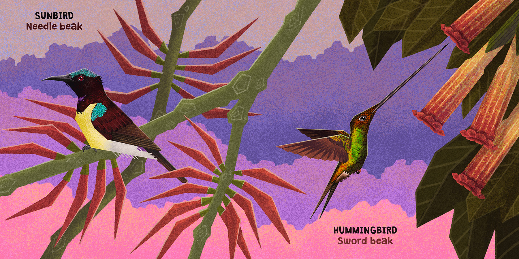 Bird Illustration childrensbook kidlit kidlitart Picture book Procreat (3).jpg