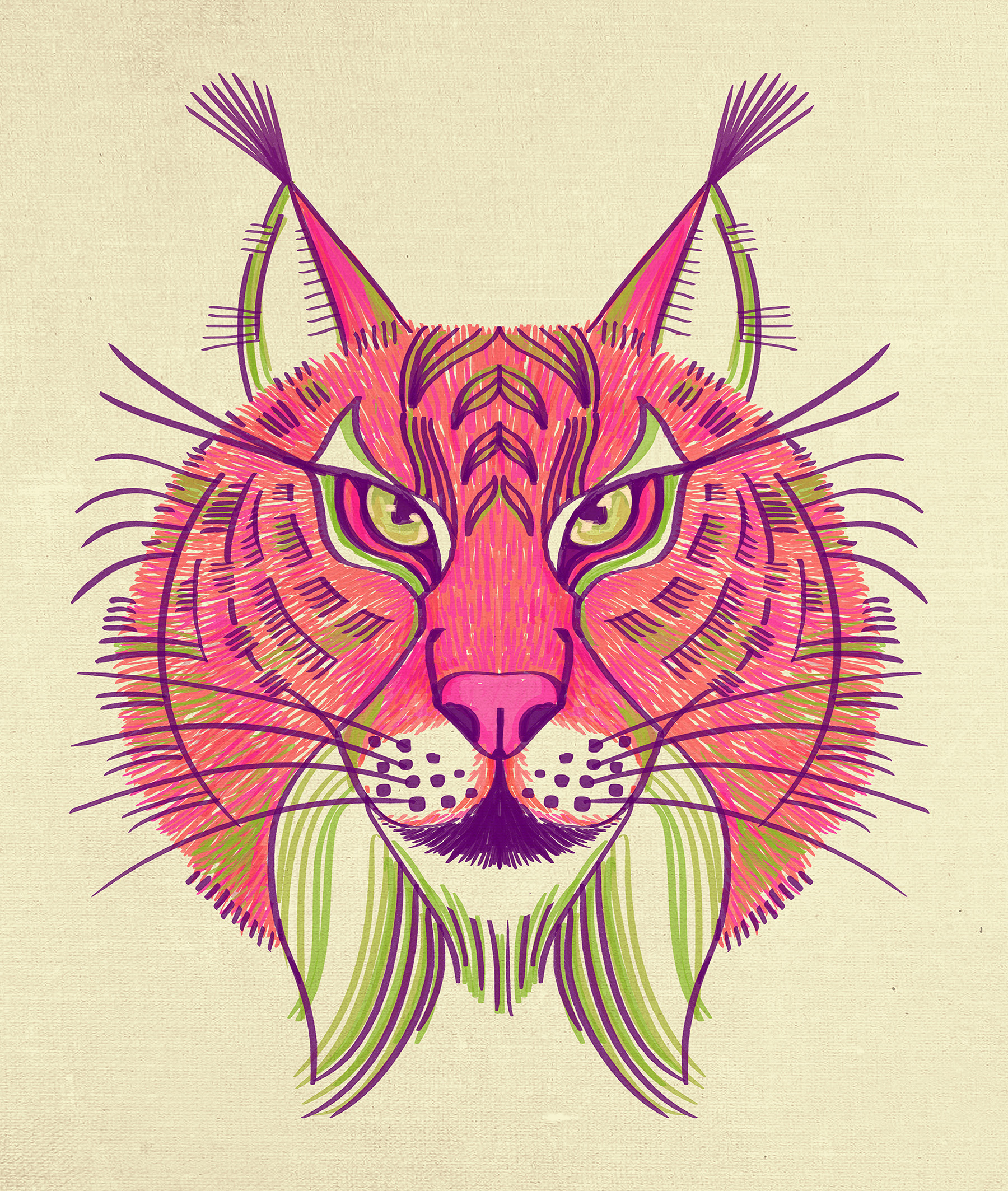 lynx tiger ocelot mandrill monkey Cat ILLUSTRATION  sketch animal sket.jpg