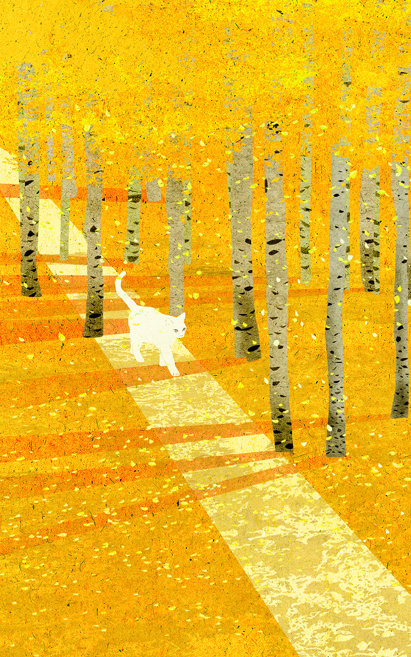 animal artwork cartoon Cat digital illustration Drawing  painting (10).jpg