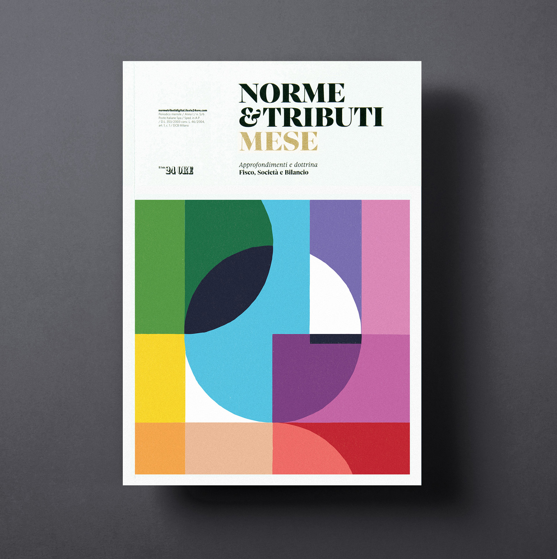 cover magazine ILLUSTRATION  milan rayoranges.jpg