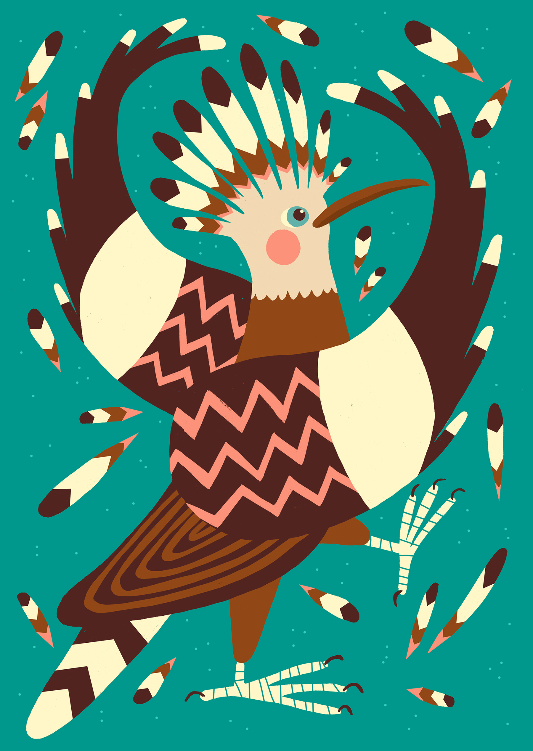bird birds animals duck mallard hornbill cockatiel Rooster pigeon dove (5).jpg