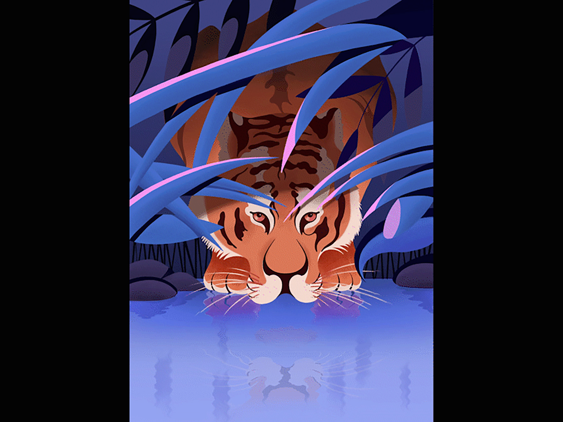 Editorial Illustration ILLUSTRATION  Nature tiger.jpg