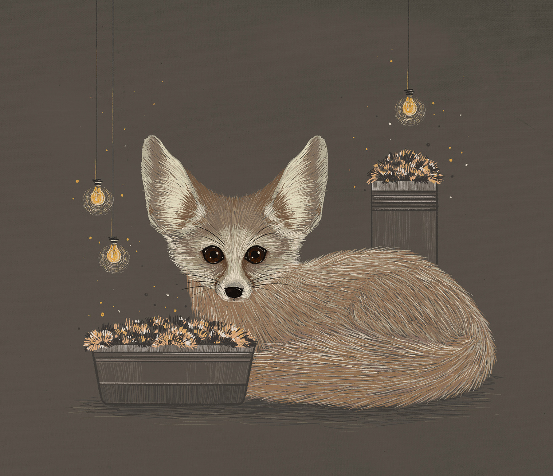 India Cat owl FOX Evening cozy chalk brush Fur bulb (3).jpg